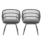 Lemere Outdoor Wicker Dining Chair with Cushion (Set of 2) by Christopher Knight Home