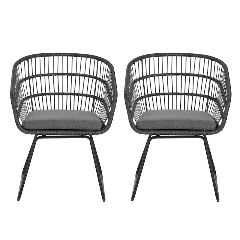 Lemere Outdoor Wicker Dining Chair with Cushion (Set of 2) by Christopher Knight Home