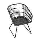 Lemere Outdoor Wicker Dining Chair with Cushion (Set of 2) by Christopher Knight Home