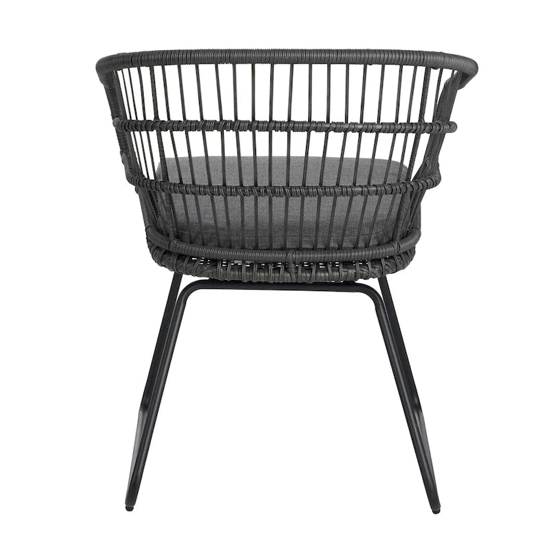 Lemere Outdoor Wicker Dining Chair with Cushion (Set of 2) by Christopher Knight Home
