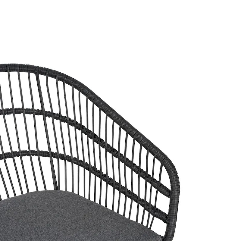 Lemere Outdoor Wicker Dining Chair with Cushion (Set of 2) by Christopher Knight Home