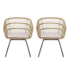 Lemere Outdoor Wicker Dining Chair with Cushion (Set of 2) by Christopher Knight Home
